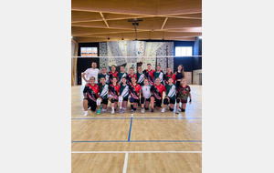 691453a7c712e_volleyballnimes54900976467o.jpg