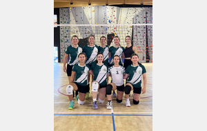 691453a89da03_volleyballnimes54900976527o.jpg
