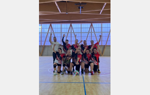 691453b009359_volleyballnimes54900976557o.jpg